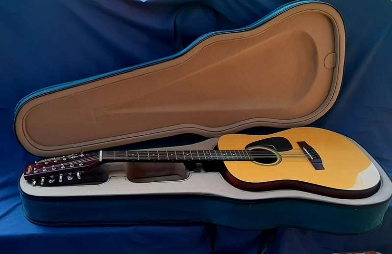 VINTAGE SAMICK ARTIST SERIES EDITION 12 STRING WITH CARRY CASE!!!