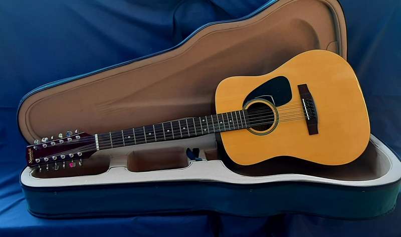VINTAGE SAMICK ARTIST SERIES EDITION 12 STRING WITH CARRY CASE!!!