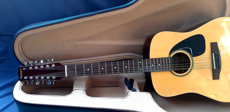 VINTAGE SAMICK ARTIST SERIES EDITION 12 STRING WITH CARRY CASE!!!