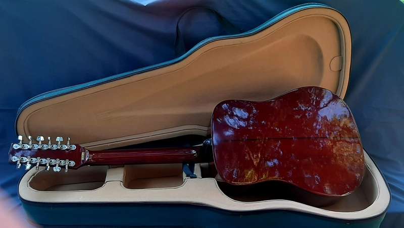VINTAGE SAMICK ARTIST SERIES EDITION 12 STRING WITH CARRY CASE!!!