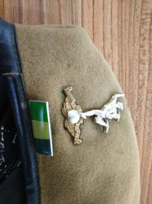 SADF Signals beret