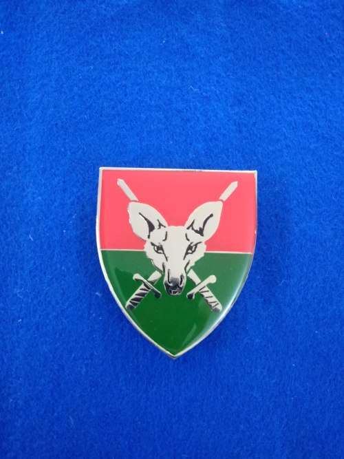 Very rare! SA army Intelligence Formation HQ Flash
