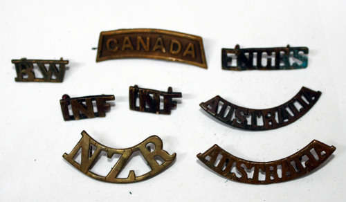 8x British and Commonwealth Shoulder titles