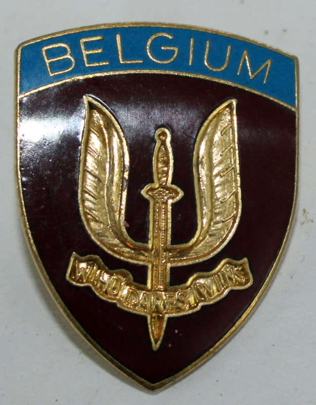 Belgian Special Forces badge (1 pin missing)
