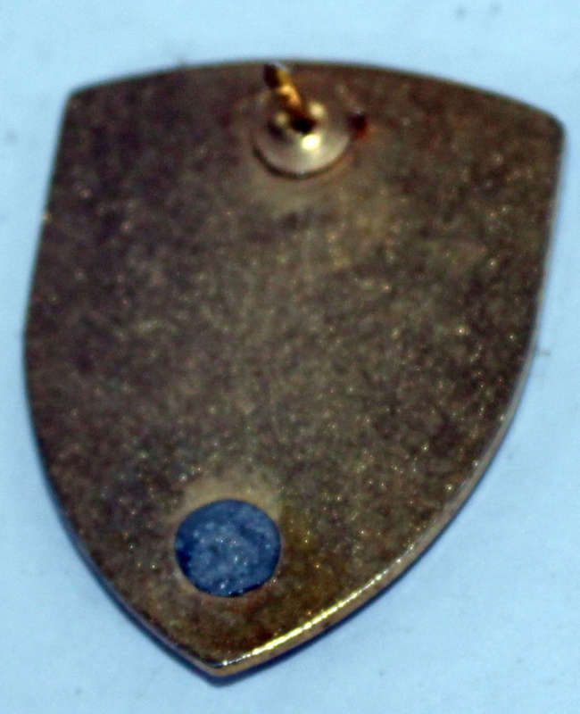 Belgian Special Forces badge (1 pin missing)