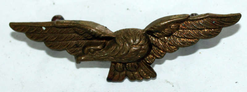 WW2 SAAF or RAF badge