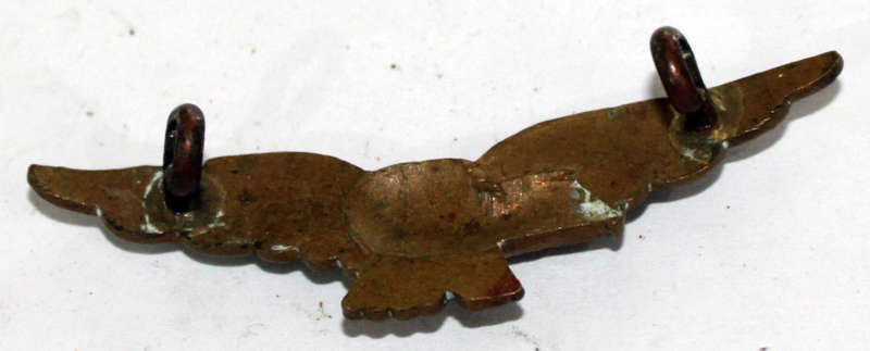 WW2 SAAF or RAF badge