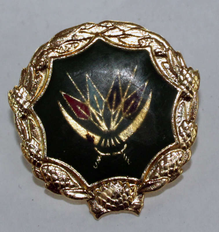 SANDF 5 year service full size badge