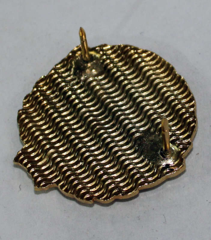 SANDF 5 year service full size badge