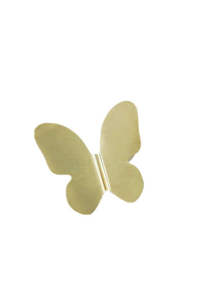 Butterfly Door Handle