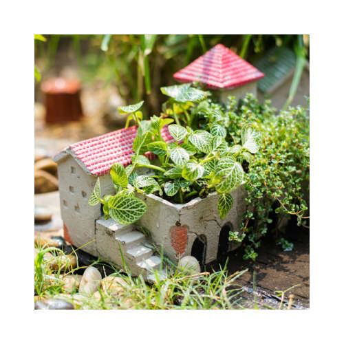 Holy Island Cement House Set of Five Flower Pots and Ornaments