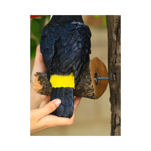 Toucan Tree Hanging