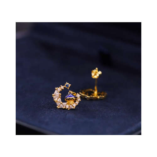 Moon Castle Earrings