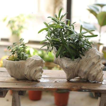 Conch Shaped Flower Pot-L2