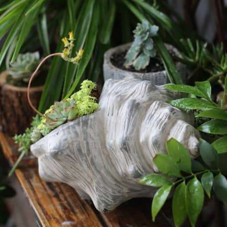 Conch Shaped Flower Pot-L2