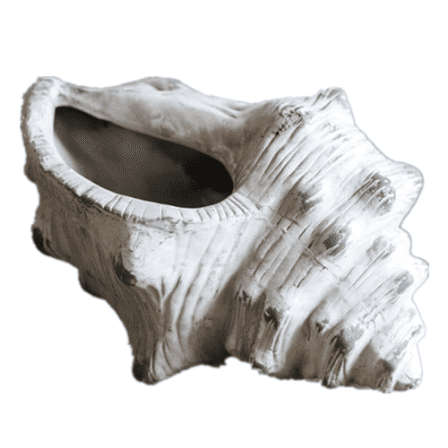 Conch Shaped Flower Pot-L2