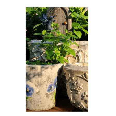 Flower fairy garden ornament