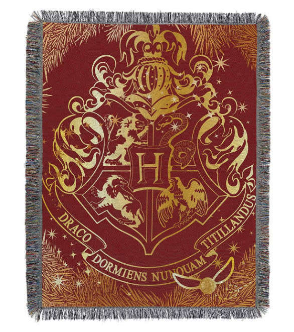 Harry Potter Academy Tapestry H016-29