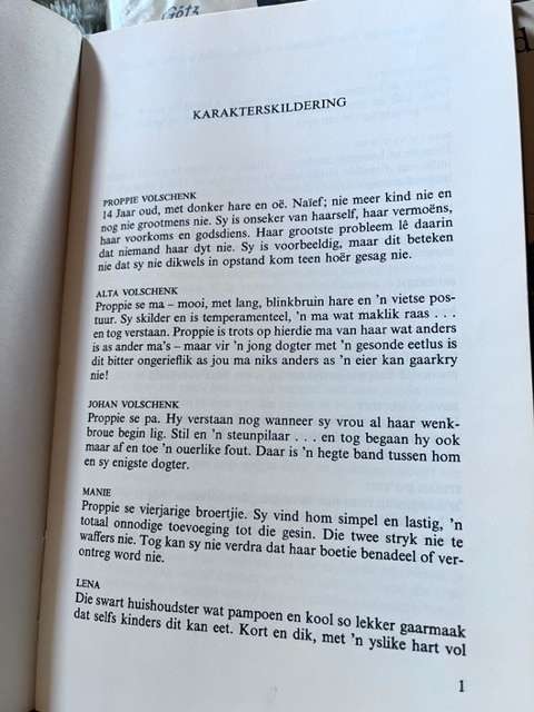 Papiertjie in die Wind - Ans van der Merwe (1979) - jeugboek