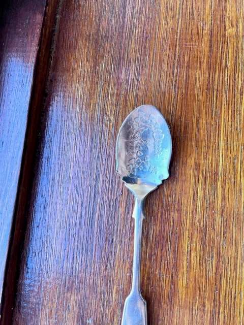 Nevada silver spoon with pattern