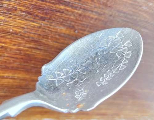 Nevada silver spoon with pattern