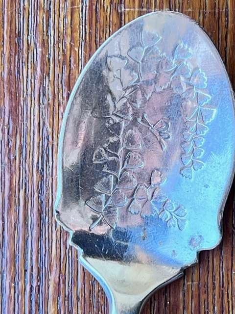 Nevada silver spoon with pattern