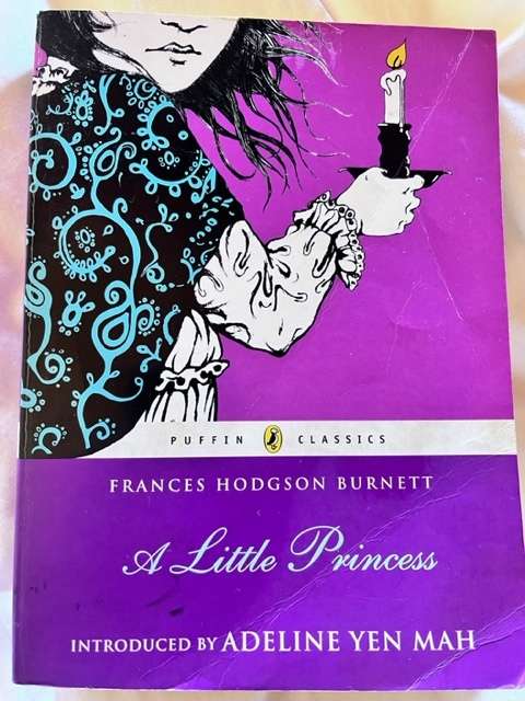 A Little Princess - Frances Hodgson Burnett (2008) Puffin Classics book