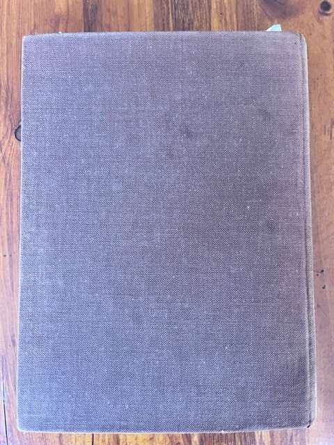 Skoonheidstroos (1932) - C. Louis Leipoldt