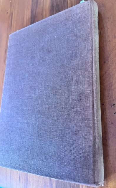 Skoonheidstroos (1932) - C. Louis Leipoldt