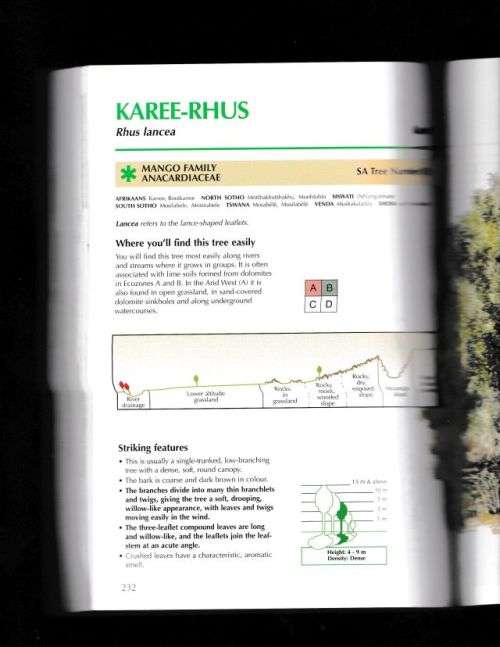 SAPPI TREE SPOTTING;HIGHVELD AND THE DRAKENSBERG