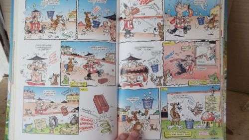 BEANO ANNUAL 2005.THE