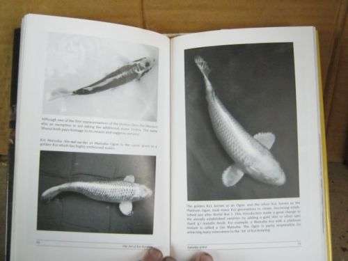 KOI KEEPING,THE ART OF;A COMPLETE GUIDE----PETER COLE