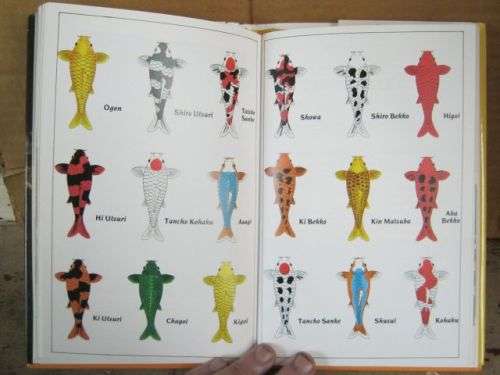 KOI KEEPING,THE ART OF;A COMPLETE GUIDE----PETER COLE