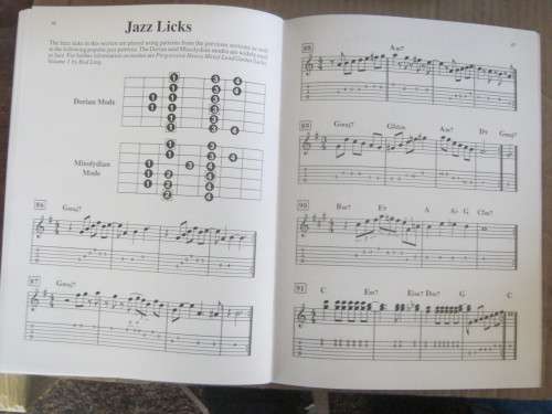 PROGRESSIVE LEAD GUITAR LICKS FOR BEGINNER TO ADVANCED---BRETT DUNCAN