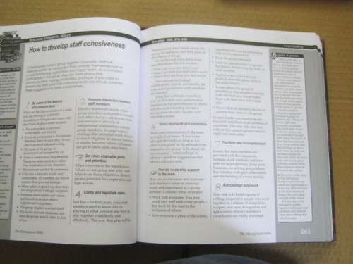 MANAGEMENT BIBLE(SOUTHERN AFRICAN EDITION),THE---NEIL FLANAGAN and JARVIS FINGER