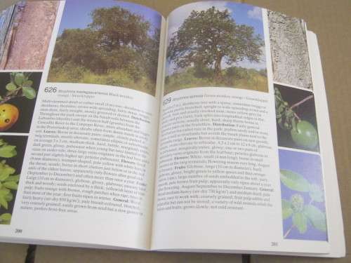 TREES OF THE KRUGER NATIONAL PARK, FIELD GUIDE---PIET VAN WYK