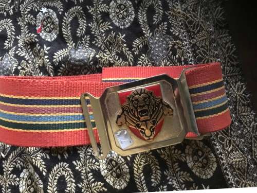 SANDF stable belt pride of lions