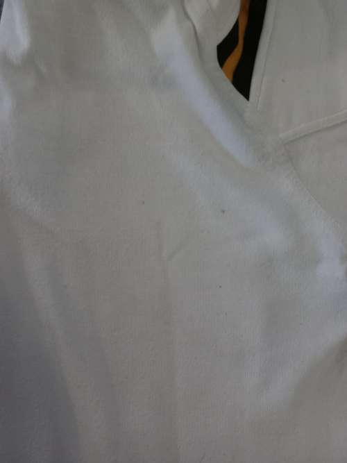 SA Rugby Springbok jersey white .