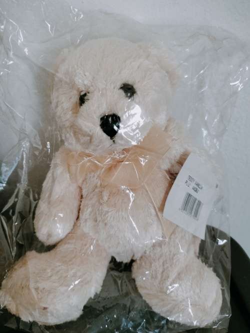 Teddy Bear