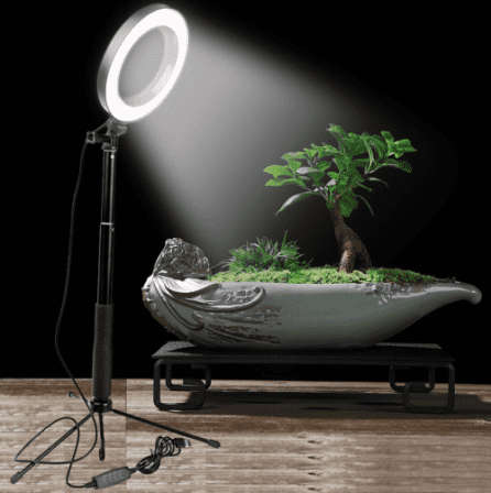 10 Inch LED Ring Light Dimmable Desktop Selfie Light Tripod Stand for YouTube Tiktok Video Live Stre