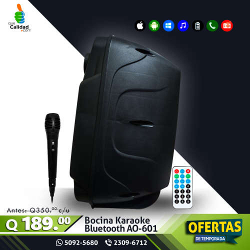 PROFESSIONAL SPEAKER SYSTEM WITH MIC AO-601