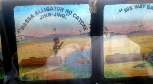 South African Alligator Supply Company , Lantern Slides (1870)