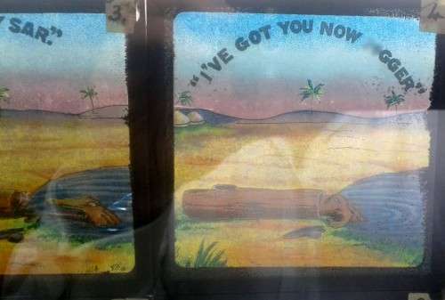 South African Alligator Supply Company , Lantern Slides (1870)