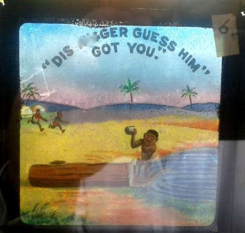 South African Alligator Supply Company , Lantern Slides (1870)