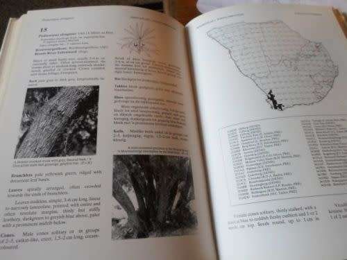 Tree Atlas of Southern Africa / Boomatlas van Suider-Afrika Section / Seksie 1