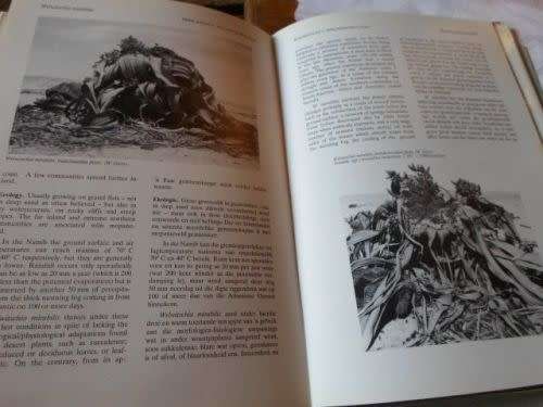 Tree Atlas of Southern Africa / Boomatlas van Suider-Afrika Section / Seksie 1