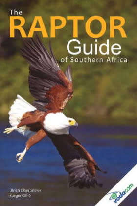 The Raptor Guide of Southern Africa