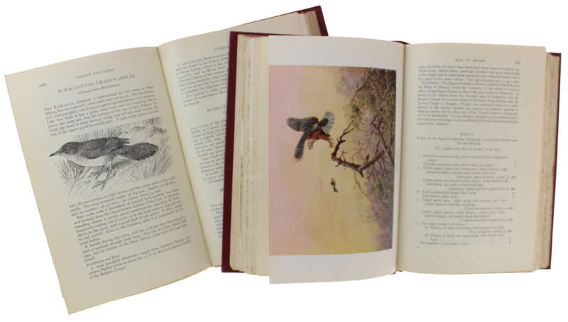 THE BIRDS OF WEST AND EQUATORIAL AFRICA [ 2 volumes]