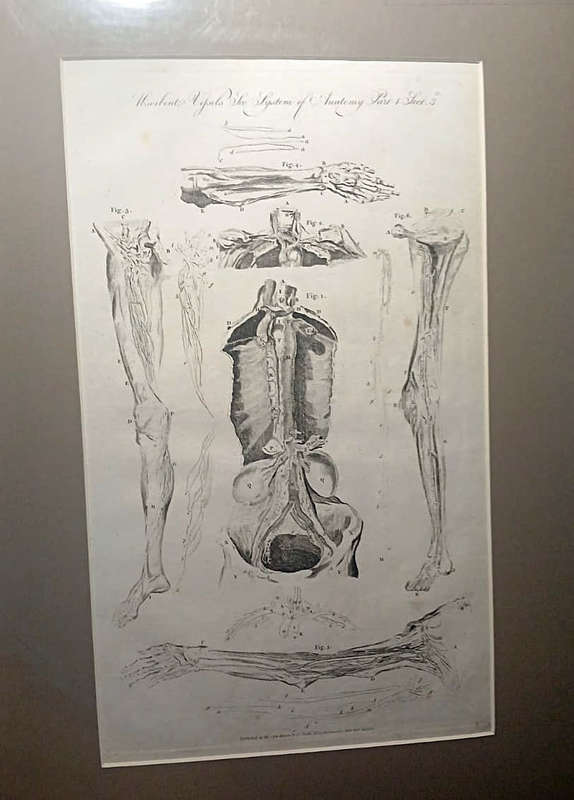 Vessels - System of Anatomy (1780)