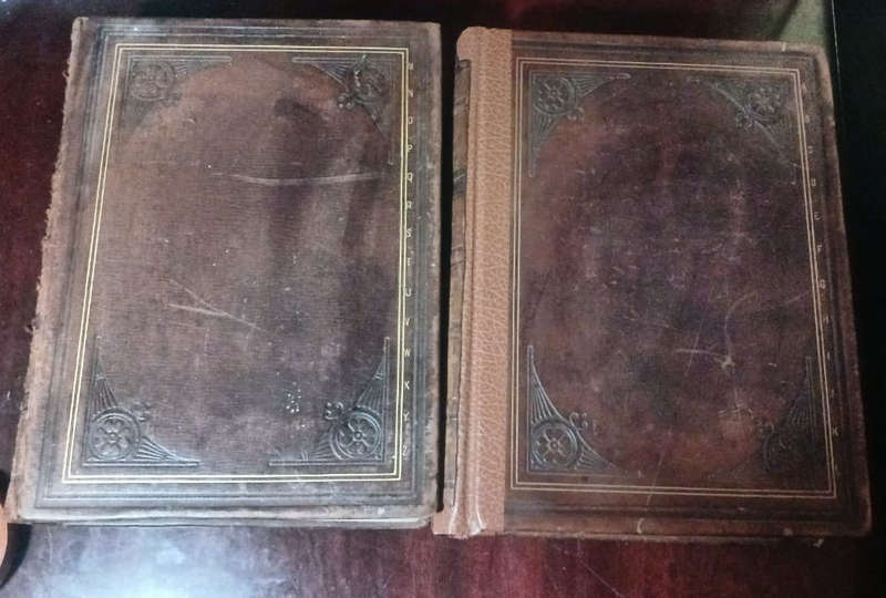 A Standard Dictionary Of The English Language (2 volumes) 1899